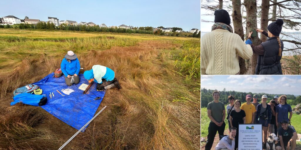 Stratford Area Watershed Improvement Group Photo Collage